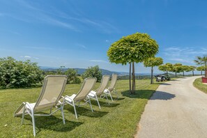 A pathway with three lounge chairs and a tree.