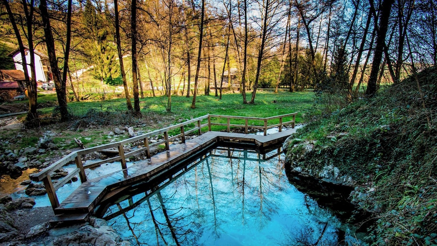 Pool & Whirlpool Art Villas