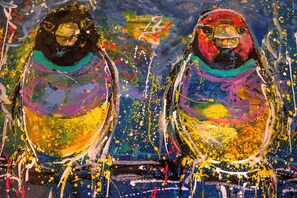 Miscellaneous - BoisCailloux, Ardèche Gorges, Chalet Zaza, access to the common pool under greenhouse (saint remèze)