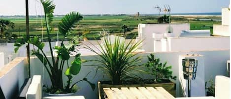 Terras