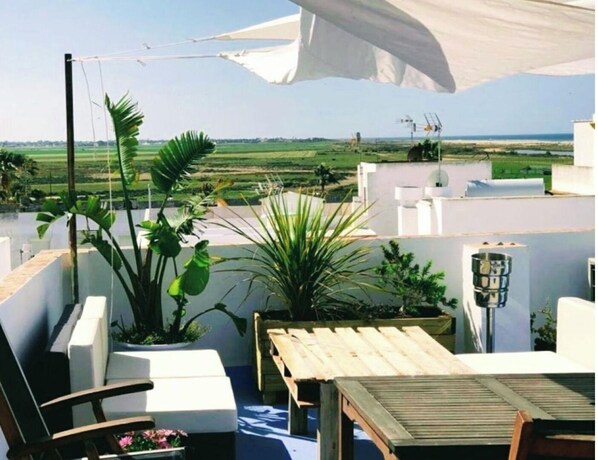 Terras