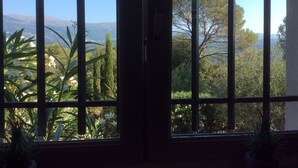 A view through a window with a grid pattern, overlooking a garden with various plants and trees.
