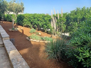 Exterior - House for Rent Nikoletta (Postira)