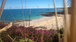 Paesaggio costiero con spiaggia sabbiosa, un prato in primo piano e vista sul mare e sulla terraferma in lontananza.