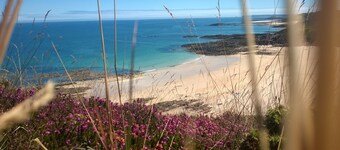 Mobilhome Willerby Royal Luxe 4 Personnes