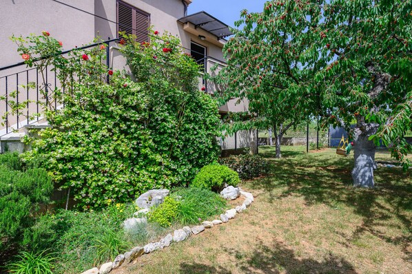 Property grounds - Apartment David in Poreč, Croatia (Dracevac)