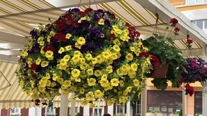 A restaurant with hanging flower arrangements and outdoor seating. - Anna Palace Hotel (Ruse)
