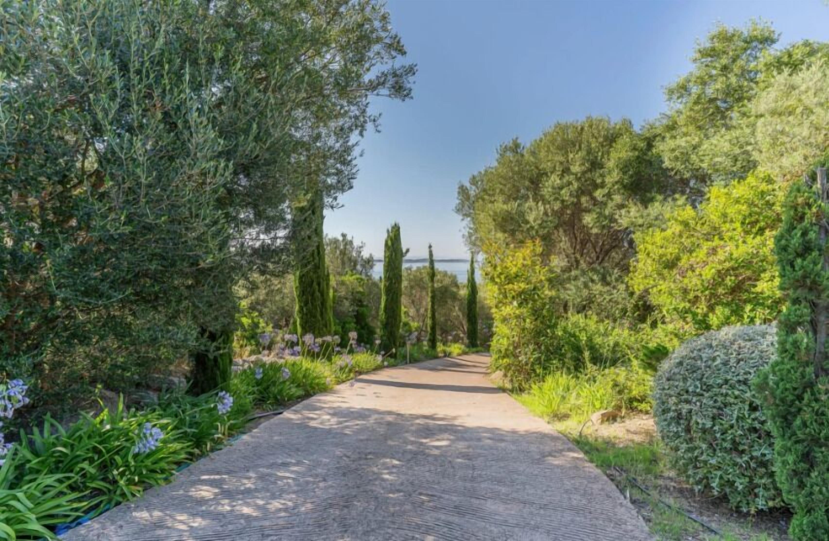 Un sentier pavé, bordé d’une végétation luxuriante et d’arbres imposants.