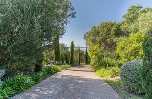 A paved pathway surrounded by lush greenery and tall trees. - HOTEL MARINA DI CAVU BONIFACIO (Bonifacio)