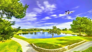 Un parc paisible avec un étang, des arbres et un ciel dégagé.