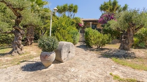 A stone pathway leading to a rustic building surrounded by olive trees and potted plants.