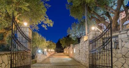 Paradise Home - On the Hill - Paradise Home - On the Hill