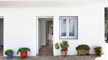 Detalle del exterior