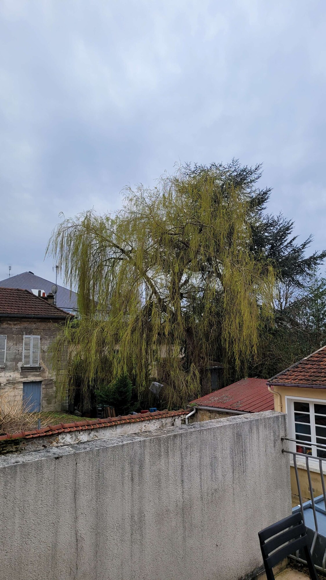 VĂ€rdens profilbild