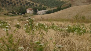 Un paysage rural caractérisé par des collines douces, un petit bâtiment et quelques arbres dispersés.