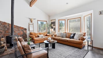 TV connectée, cheminée, jeux vidéo, lecteur de DVD