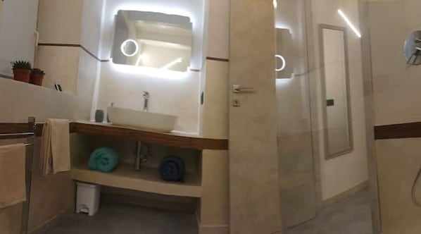 Regadera, secadora de cabello, bidet, toallas