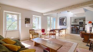 TV connectée, cheminée, livres