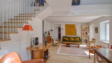 TV connectée, cheminée, livres