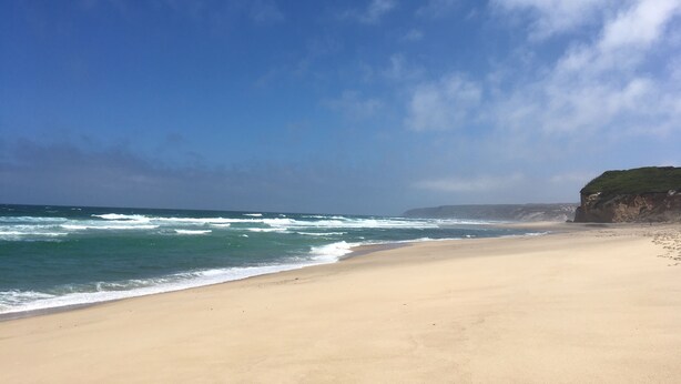 Een strand met heldere lucht en golven in de oceaan.