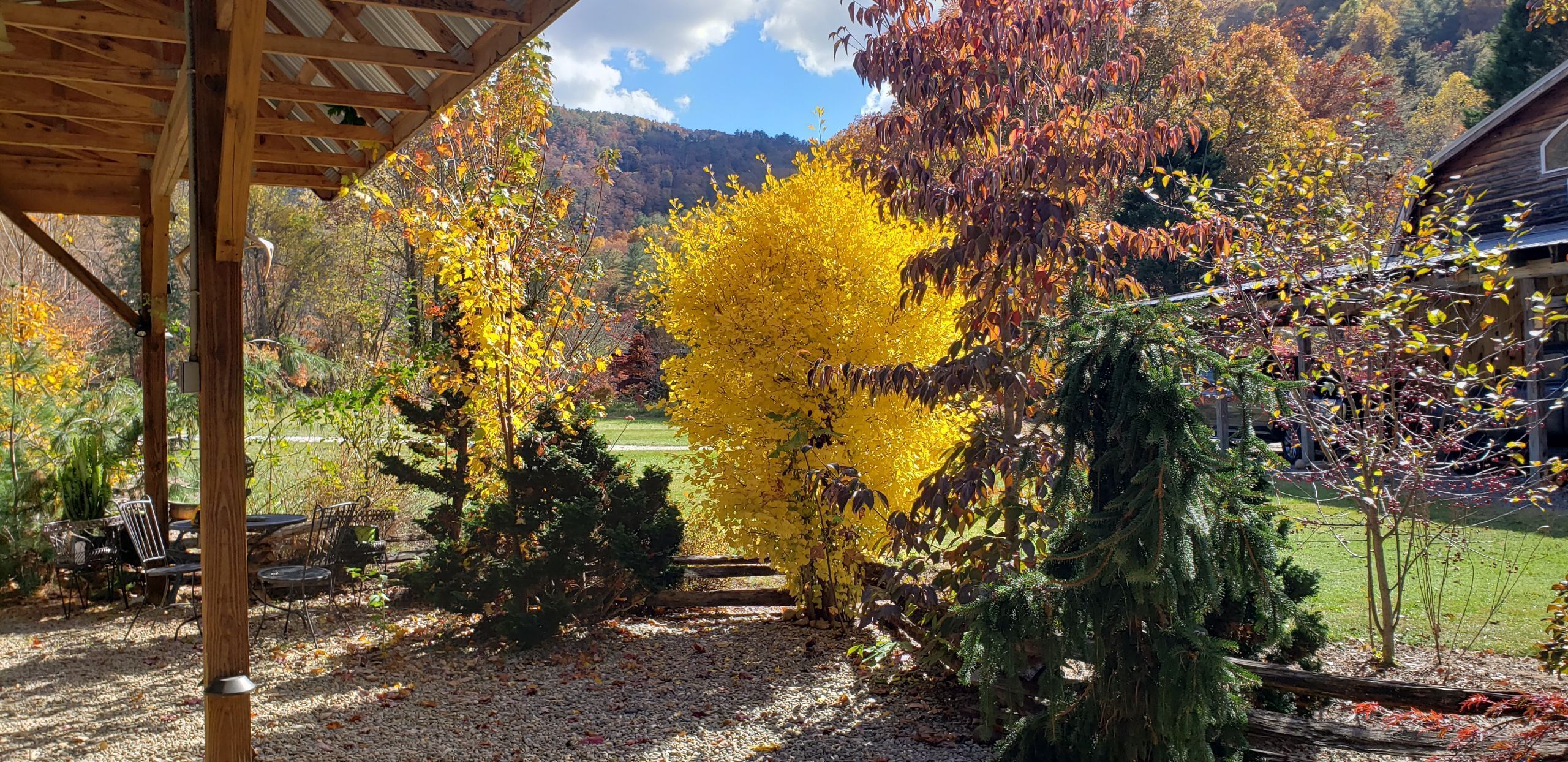 Restauration extérieure