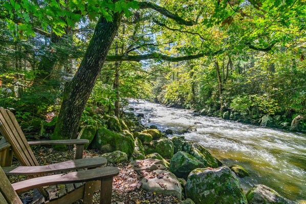 Una silla de madera junto a un río en un área boscosa.