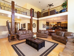 TV connectée, cheminée, lecteur de DVD, livres