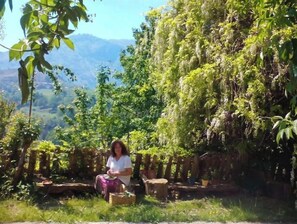 Sit and unwind in a serene outdoor space surrounded by lush greenery and breathtaking mountain views.