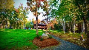 A cabin surrounded by a forest with a gravel path leading to it.