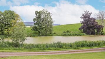 Een landelijk landschap met een vijver, bomen en een weg.
