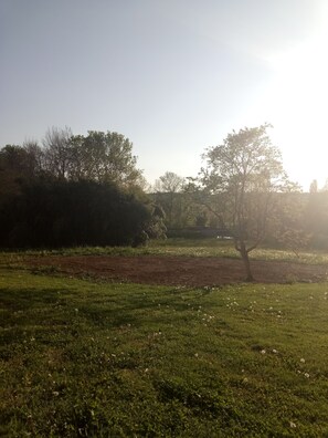 Property grounds - Waterfront country property (Frangy-en-Bresse)