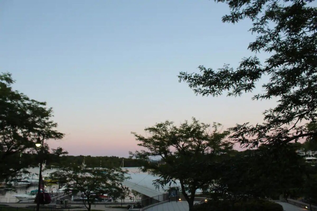 Imagen de perfil del propietario o de la propietaria