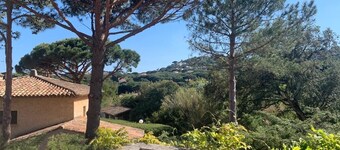 Provencal house - Nartelle on foot - Swimming pool