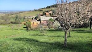 A rural landscape with a small village, houses with sloped roofs, and a prominent tree in the foreground. - Apartment “Bagnols” in Theizé with sauna (Theizé)