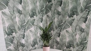 Ein runder Tisch mit zwei weißen Stühlen, einem Blumentopf und einer Wand mit einem Blattmuster.