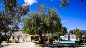 A courtyard with a swimming pool, outdoor seating, and a large tree.