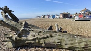A beach with driftwood, a row of colorful houses, and a boat with the number IH140. - Rest Ashored, Aldeburgh (Aldeburgh)