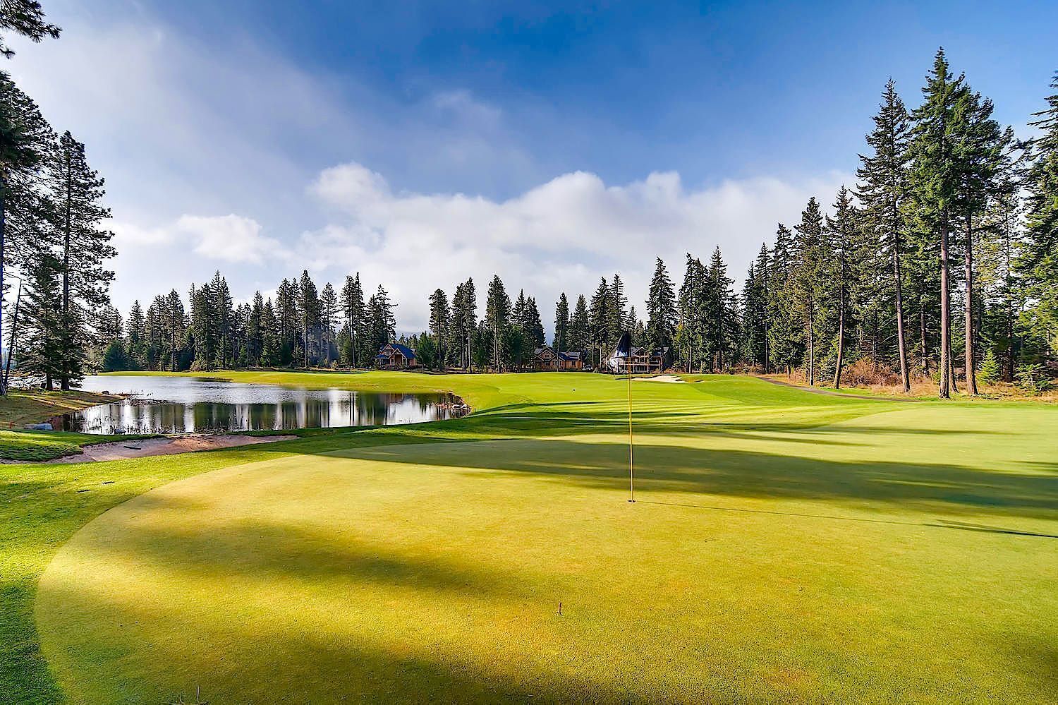 A golf course with a pond, surrounded by tall trees and a clear sky.