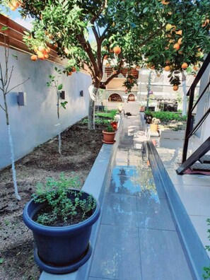 2 bedrooms, soundproofing - Evia s Apartment - New Apartment In Town - Evia s Apartment - New Apartment In Town (Zakynthos)