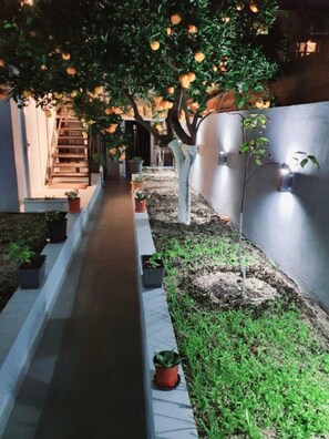 A pathway lined with potted plants and trees bearing fruit, leading to a staircase. - Evia s Apartment - New Apartment In Town - Evia s Apartment - New Apartment In Town (Zakynthos)