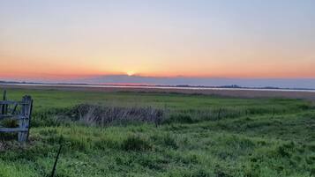 A grassy field with a wooden bench in the foreground and a sunset in the background.