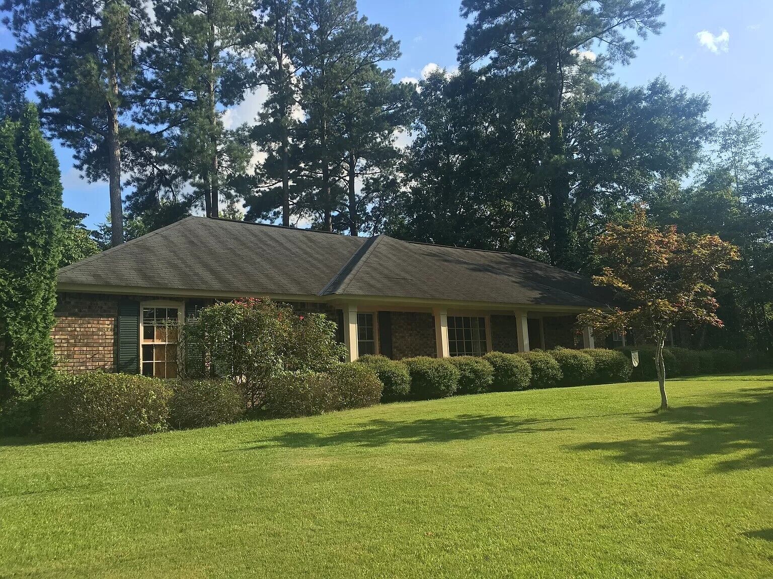 Charming House, 10 minutes to UA Campus and downtown!