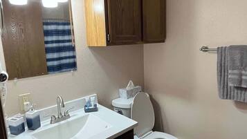 Bathtub, hair dryer, towels