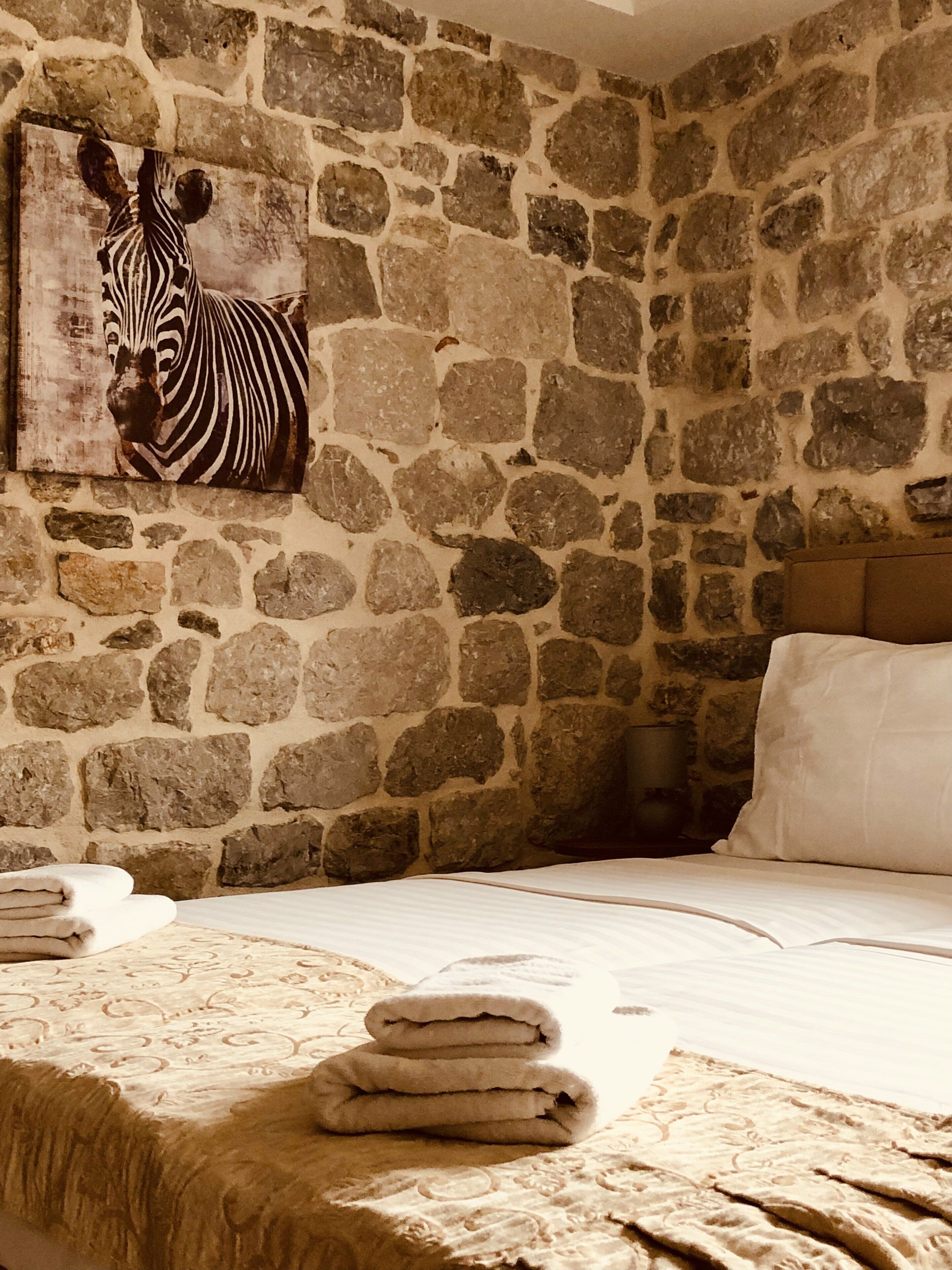 Photo - Guesthouse Giraffe