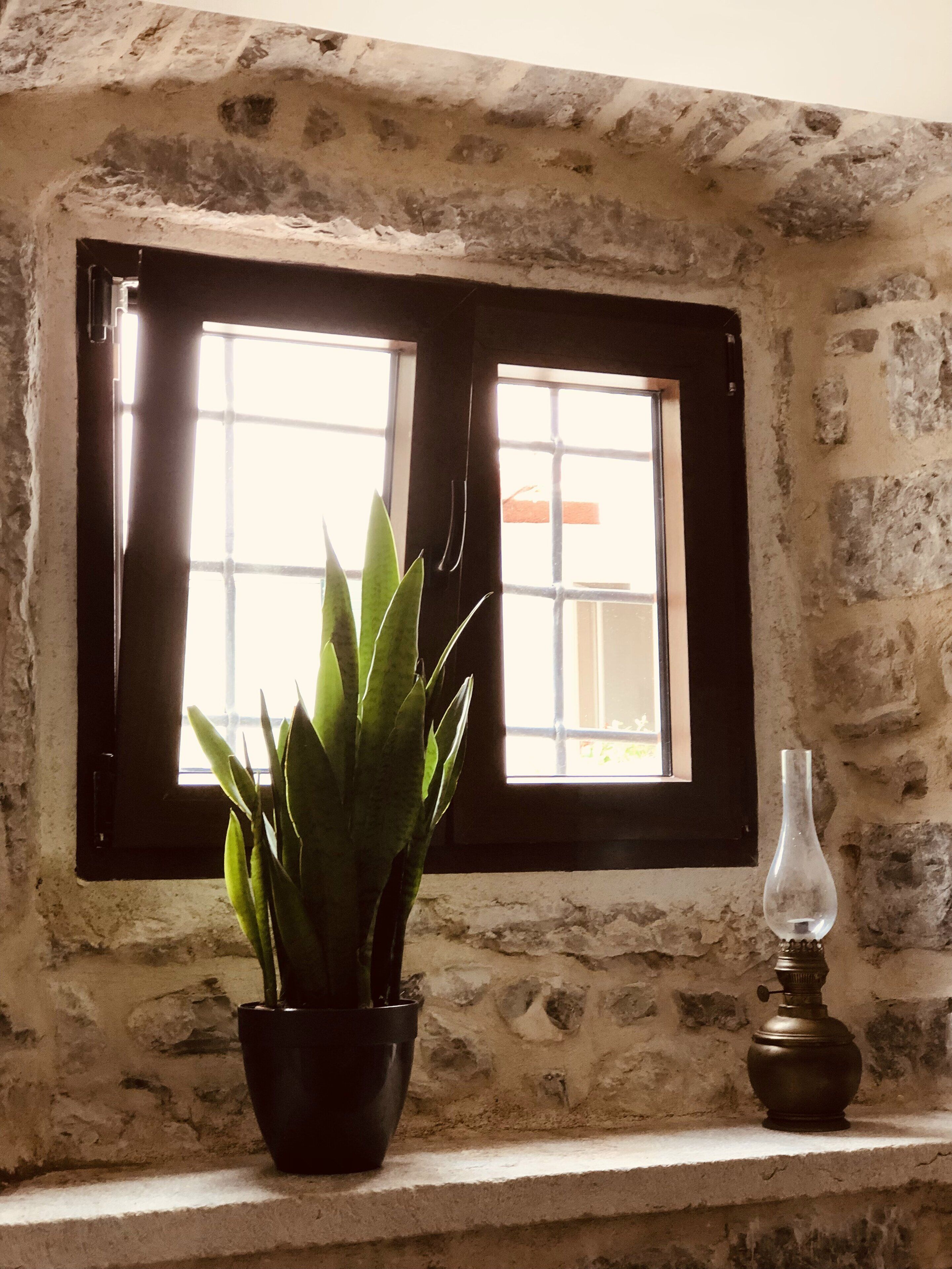 Photo - Guesthouse Giraffe