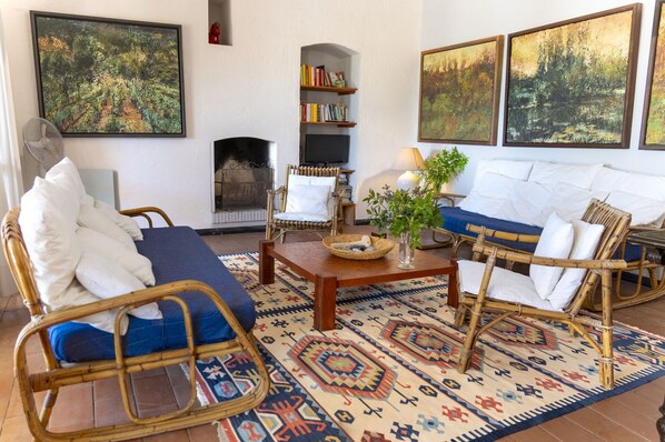 Télévision, cheminée, lecteur de DVD, chaîne hi-fi