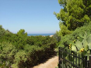 Terrain de l’hébergement 