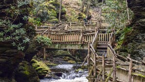 Uma ponte de madeira sobre um riacho em uma área arborizada.