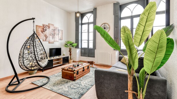 Ein modernes Wohnzimmer mit einem Hängekorbsessel, einem alten Reisekoffer, einem grauen Sofa und einer großen Zimmerpflanze.