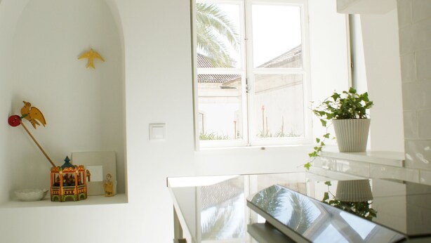Eine moderne Küche mit einem großen Fenster, weißen Schränken und einer Arbeitsplatte mit einer Pflanze.